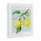 Stupell Industries Sorrento Lemon Branch Canvas Wall Art Design by Reinders